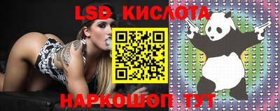 spice Лесосибирск